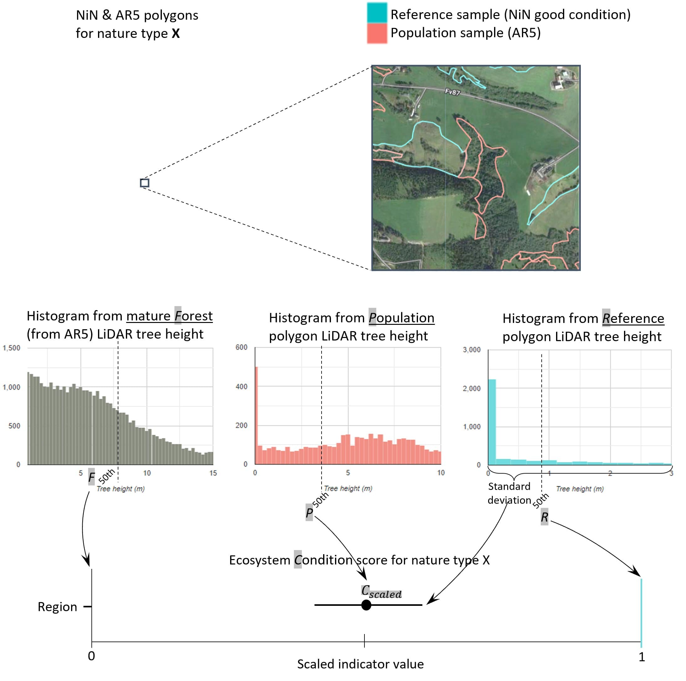 Schematic illustration of how the encroachment indicator is calculated. The lower bound for poor condition is set by LiDAR heights from mature forest surrounding the population polygon. The upper bound for good condition is set by regional median LiDAR heights within NiN polygons in the same bioclimatic-elevation zone as the population polygon.